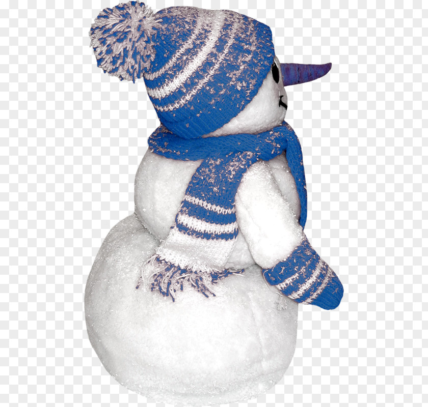 Winter Snowman Christmas Blog PNG