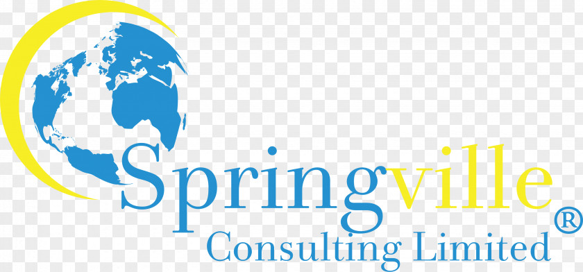 Business Management Consulting Organization PNG