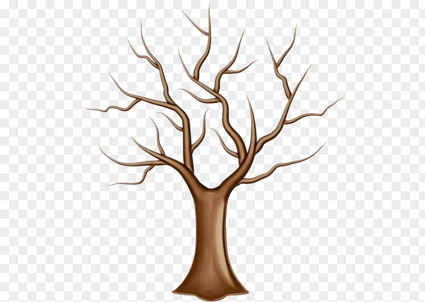 Drawing Plane Tree Trunk PNG