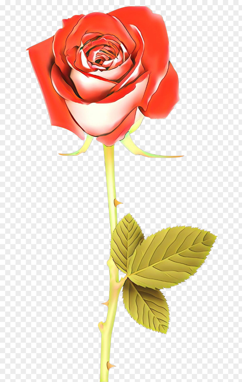 Garden Roses PNG