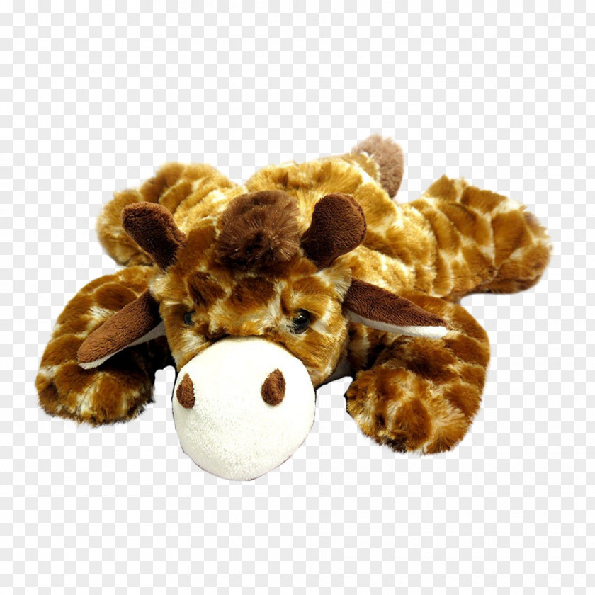 Stuffed Dog Giraffe Animals & Cuddly Toys Shoe Giraffidae PNG