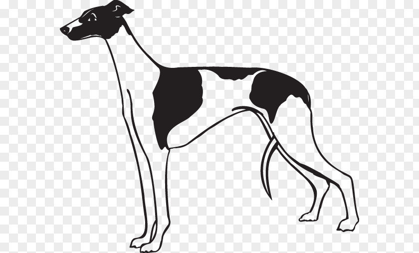 Whippet Sticker Wall Decal Paper Adhesive PNG