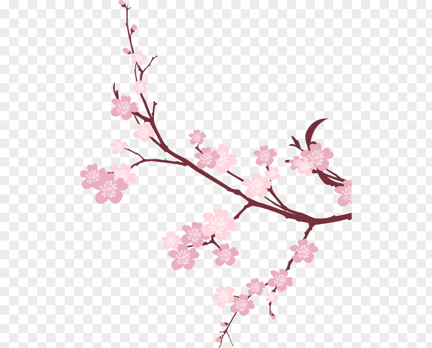 Dine Together Cherry Blossom Branch Tree PNG