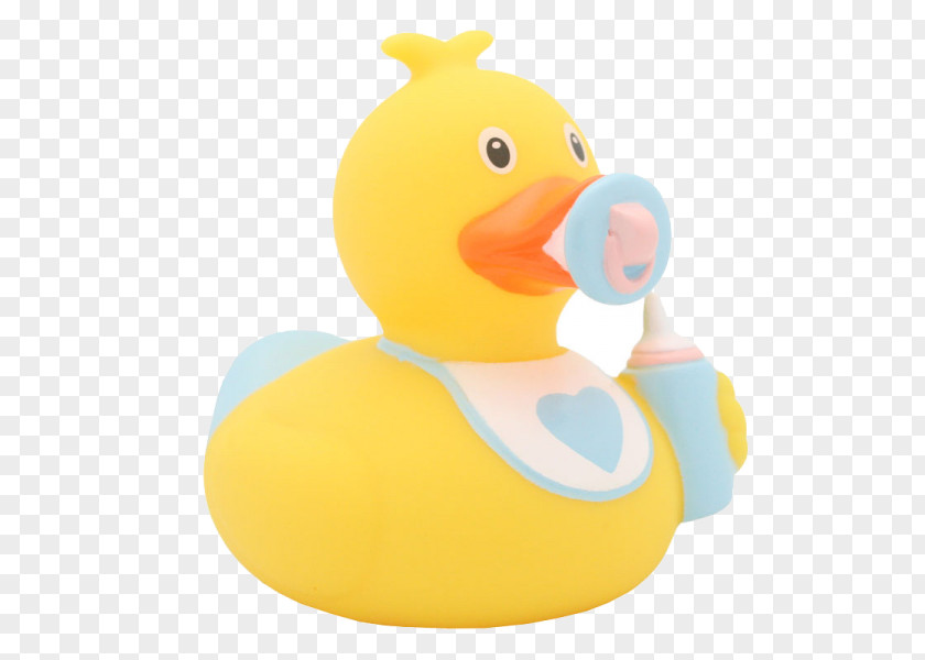 Duck Product Design At Sign Human Resource Boy PNG