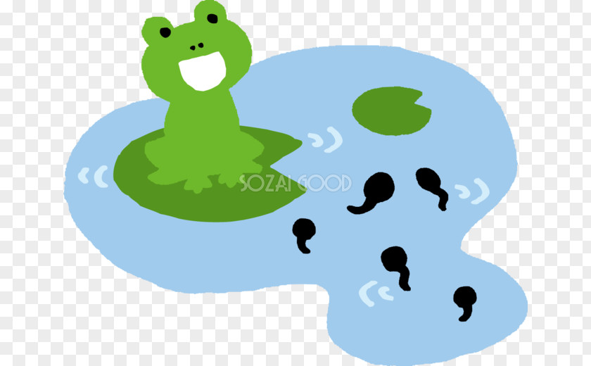 Frog Tadpole Duck Illustration Clip Art PNG