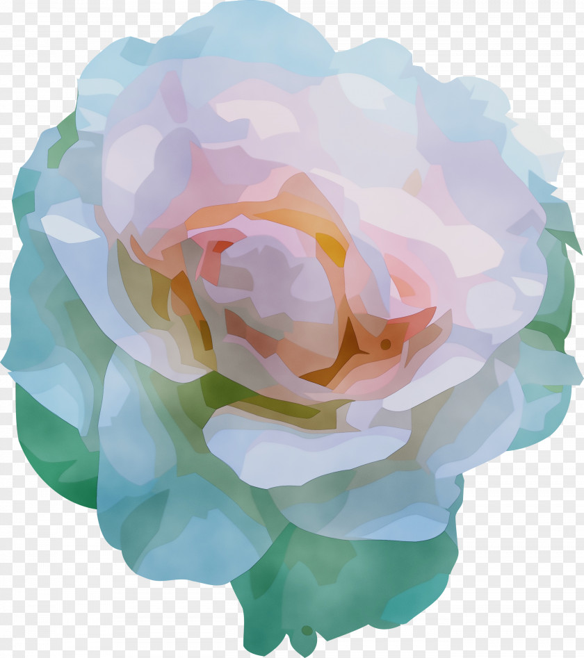 Garden Roses PNG