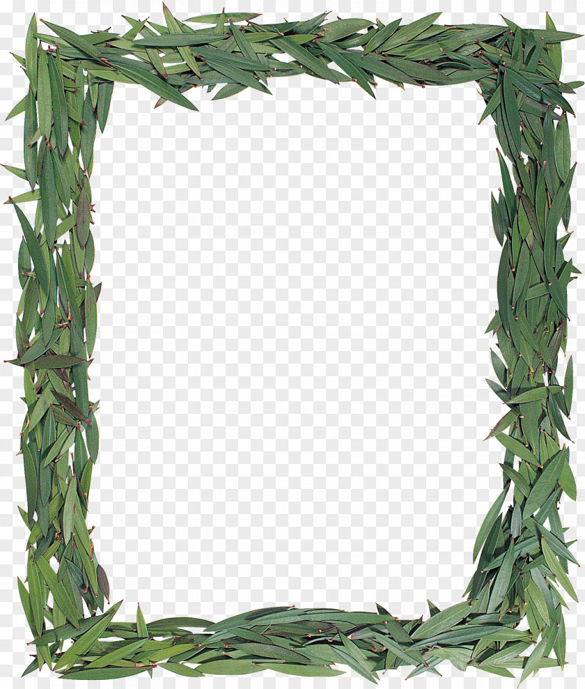 Green Leaves Picture Frames Clip Art PNG