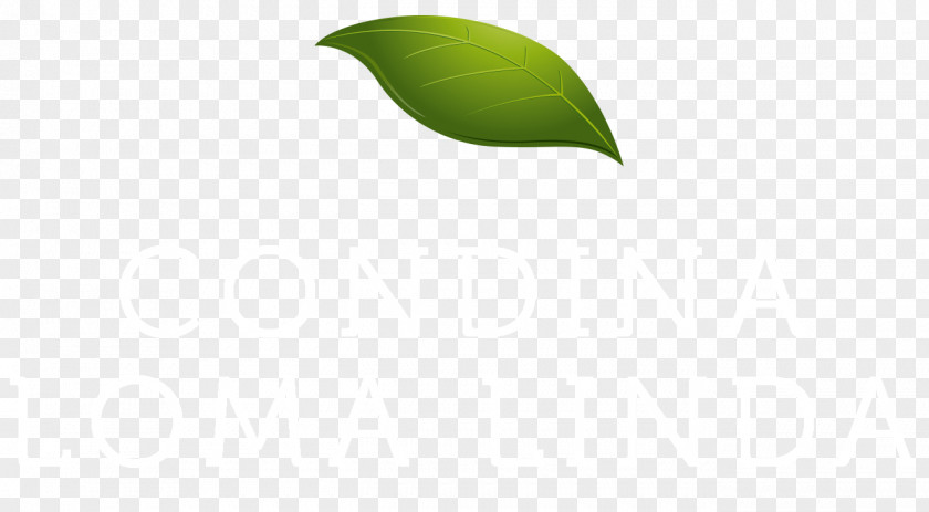 Leaf Desktop Wallpaper Graphics Product Design Computer PNG