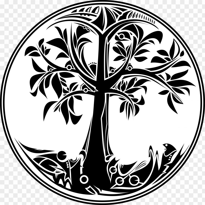 Arboles Tree Of Life Clip Art PNG