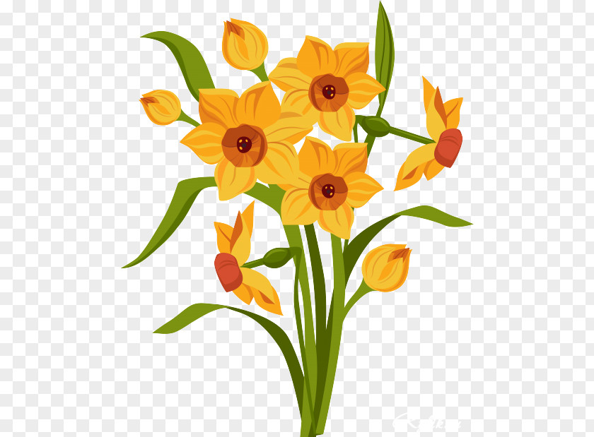 Beautiful Flowers Royalty-free Drawing Daffodil PNG
