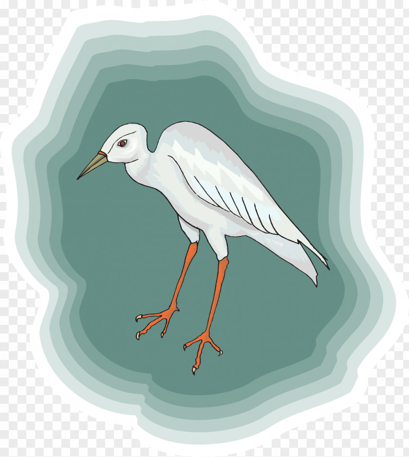 Bird Heron White Stork Crane PNG