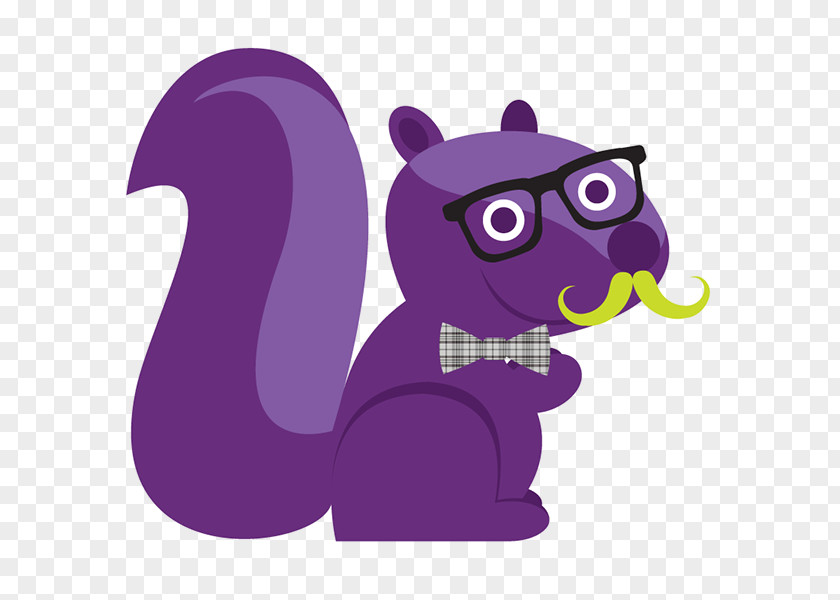 Cat Purple Squirrel PayScale Seattle PNG