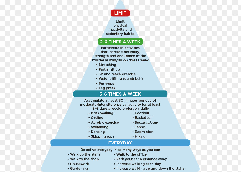 Physical Activity Diagram Line PNG