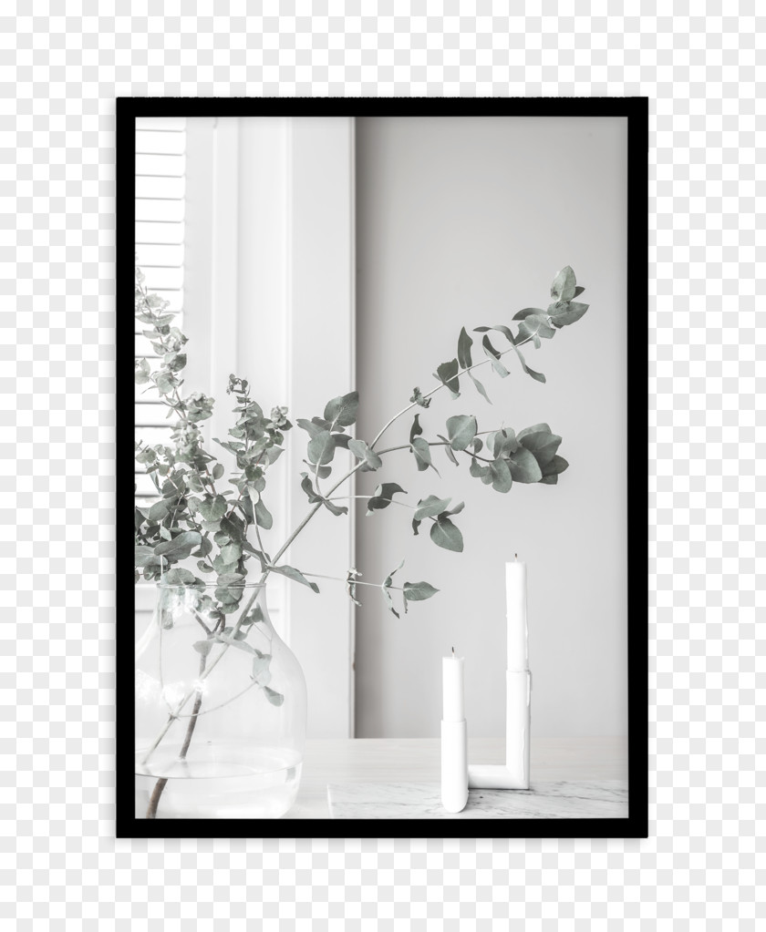 Window Picture Frames Poster Photography Printmaking PNG