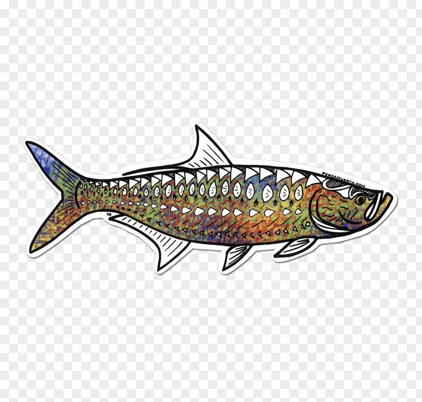 Fishing Sardine Spoon Lure Northern Pike Clip Art PNG