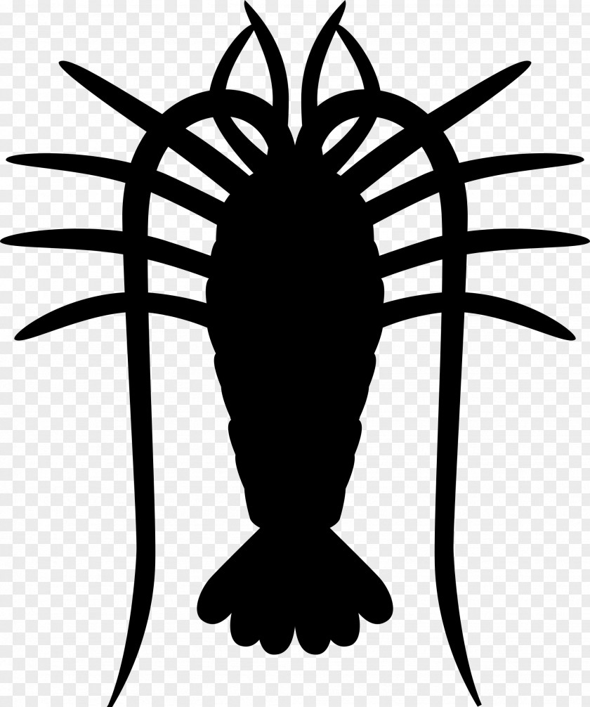 Clip Art Lobster Turks And Caicos Islands Vector Graphics Image PNG
