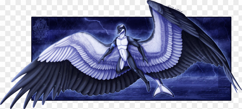 Dolphin Killer Whale Angel Anthropomorphism Sariel PNG