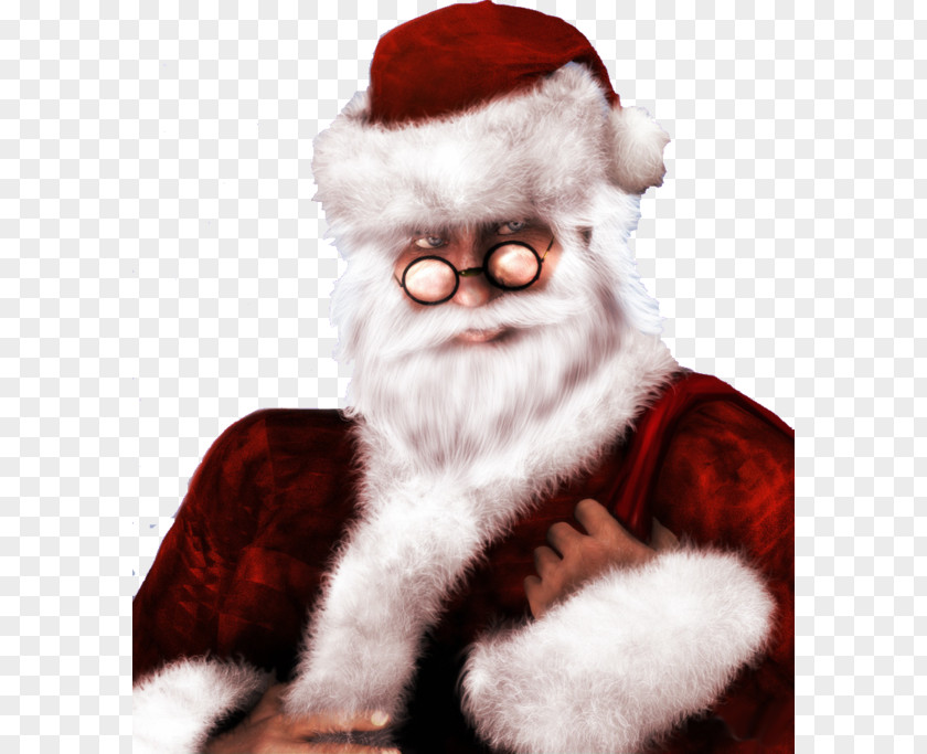 Santa Claus Snout Fur PNG