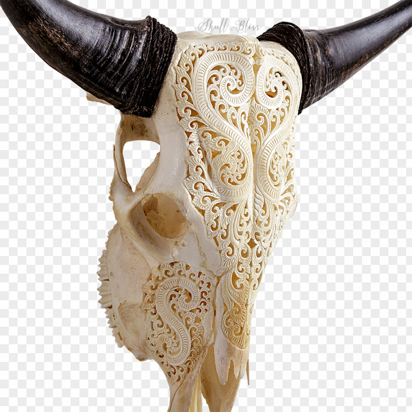 Skull XL Horns Cattle Art PNG