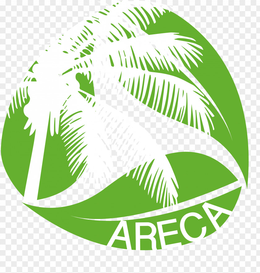 Disposable Tableware Plastic Areca Palm Nut Arecaceae Logo PNG