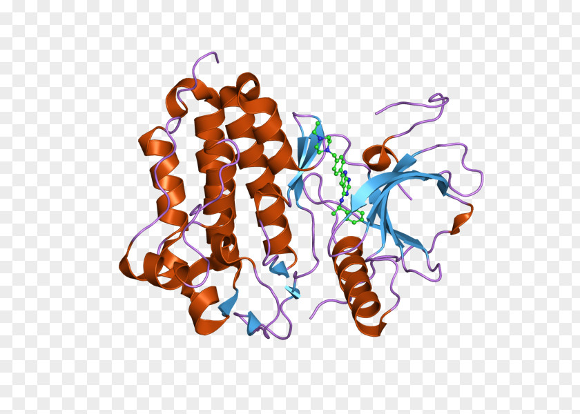 Epidermal Growth Factor Receptor Tyrosine Kinase PNG