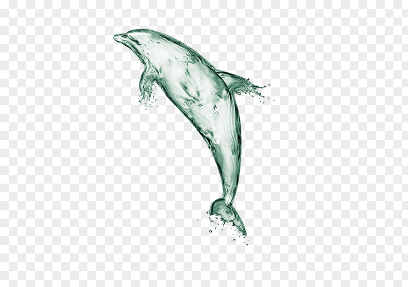 Green And Fresh Water Dolphin Decorative Patterns Euclidean Vector Computer File PNG