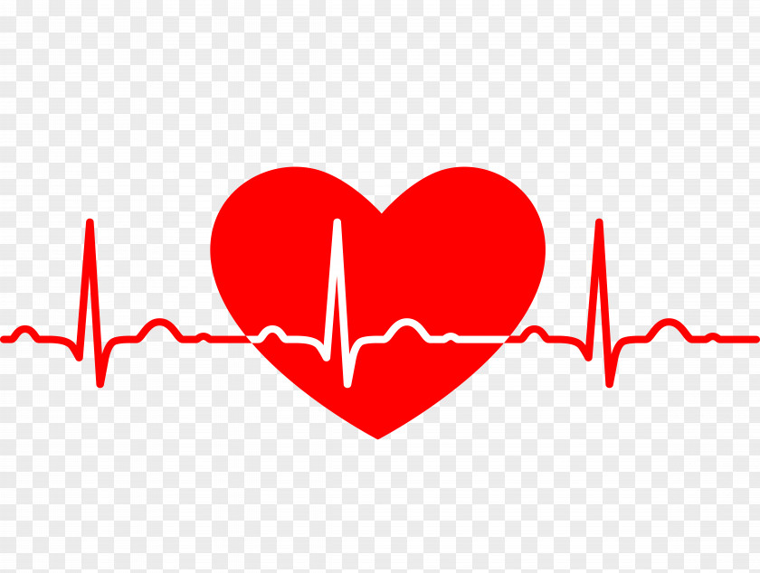 Vector ECG Heart Electrocardiography Rate Medicine Clip Art PNG