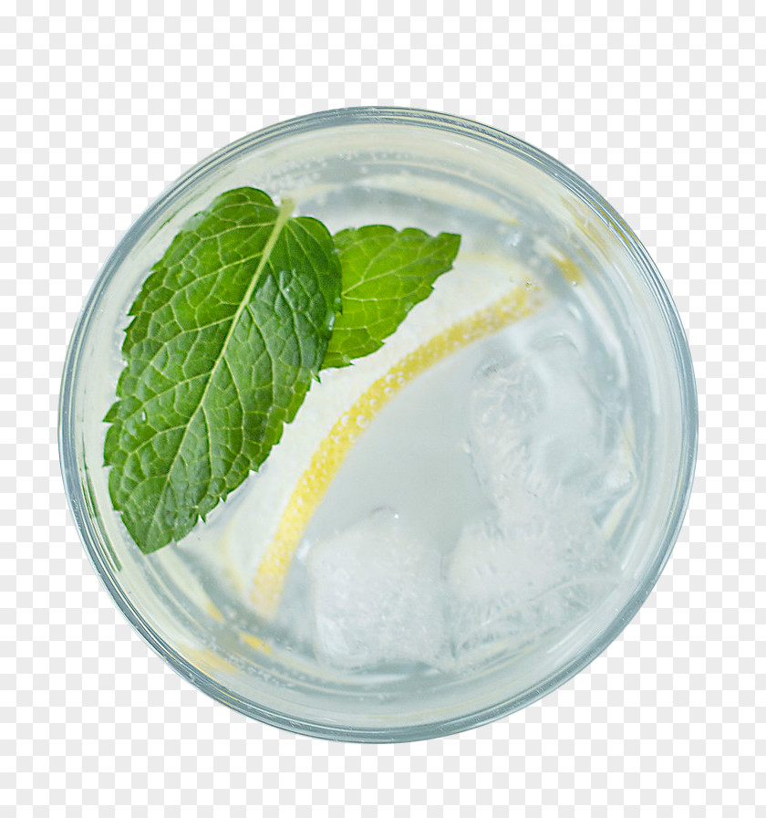 A Glass Of Lemonade Cocktail Drink Lime PNG