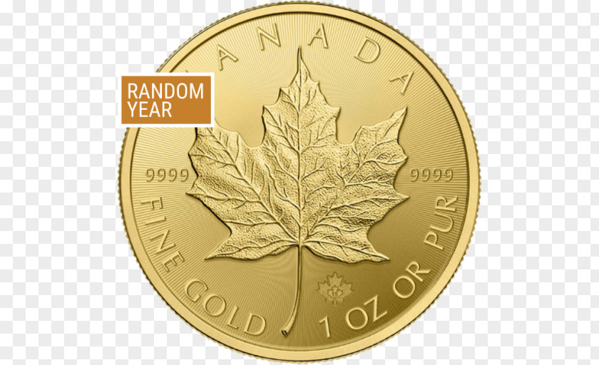 Argentina Currency 100 Canada Canadian Gold Maple Leaf Coin Bullion PNG