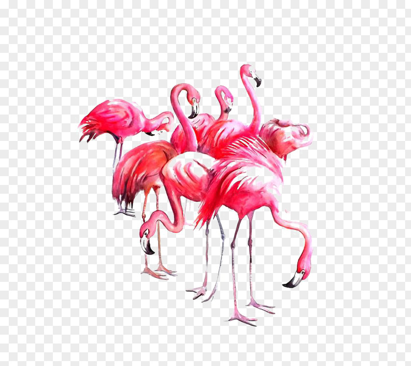Flamingos Flamingo Watercolor Painting Paper Art PNG