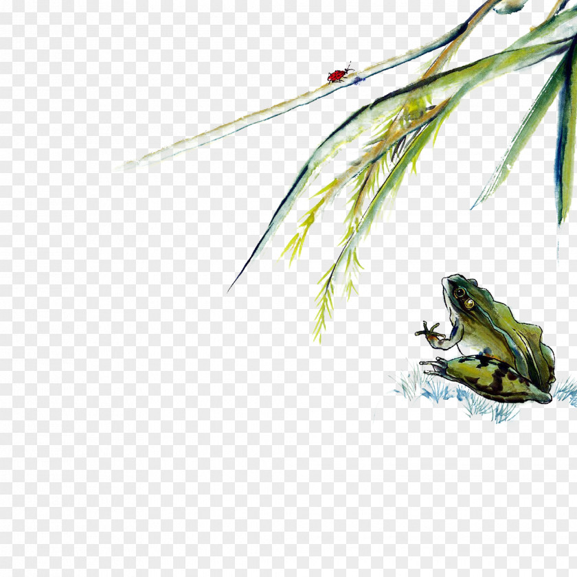 Frog Predator Ink Wash Painting Chinese Shan Shui PNG