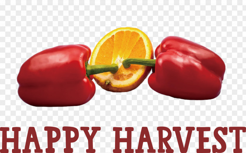 Happy Harvest Harvest Time PNG