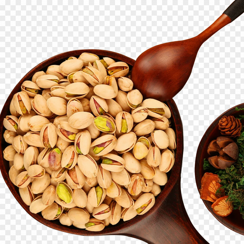 Pistachios And Mushrooms Nut Fundal Poster PNG