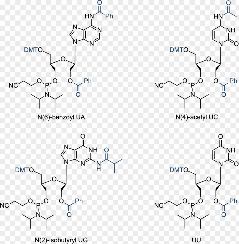 RNA Nucleic Acid Structure DNA Monomer PNG