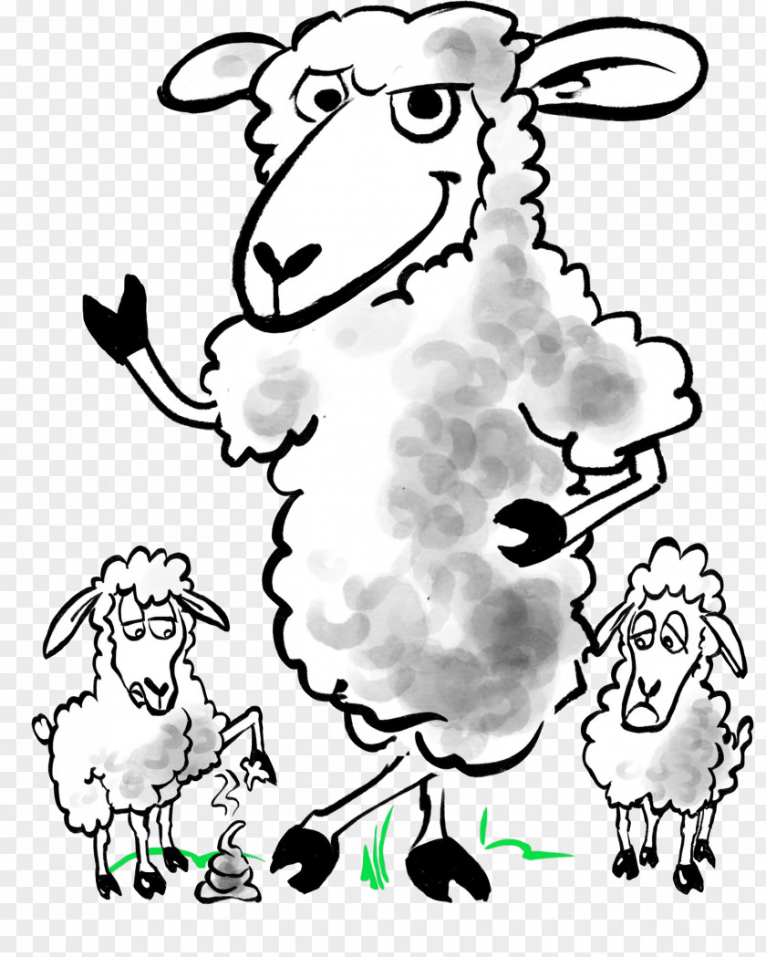 Sheep Drawing Herd Clip Art Illustration PNG