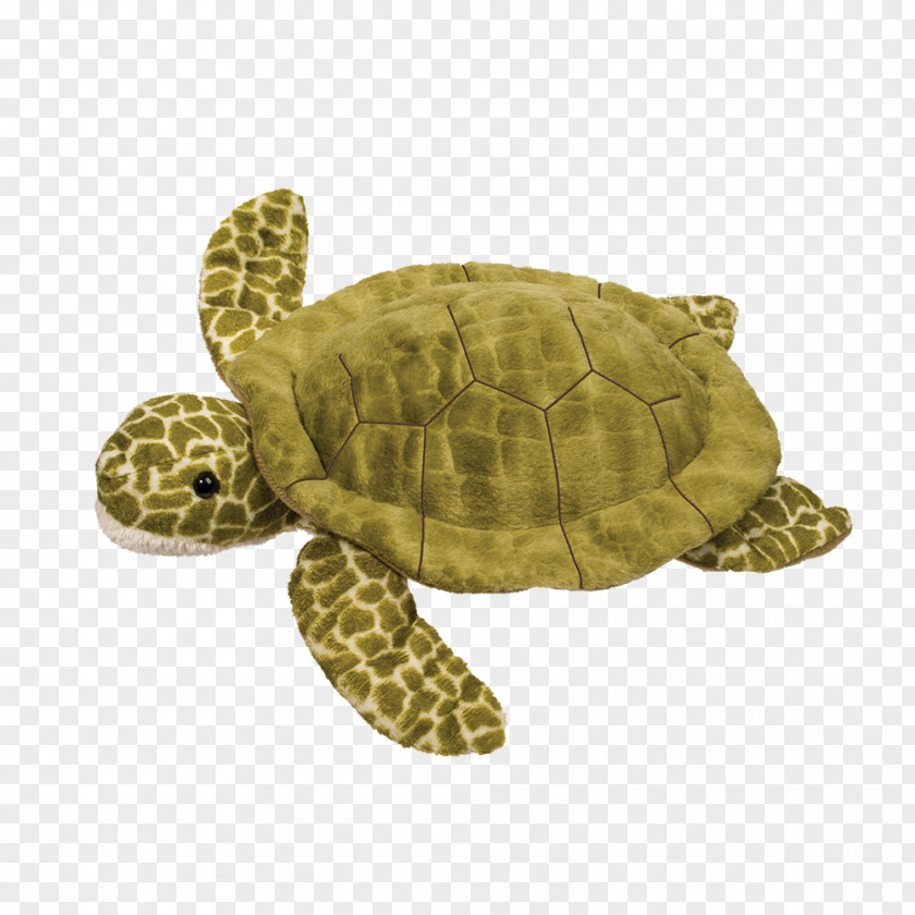 Turtle Loggerhead Sea Stuffed Animals & Cuddly Toys Pond Turtles PNG