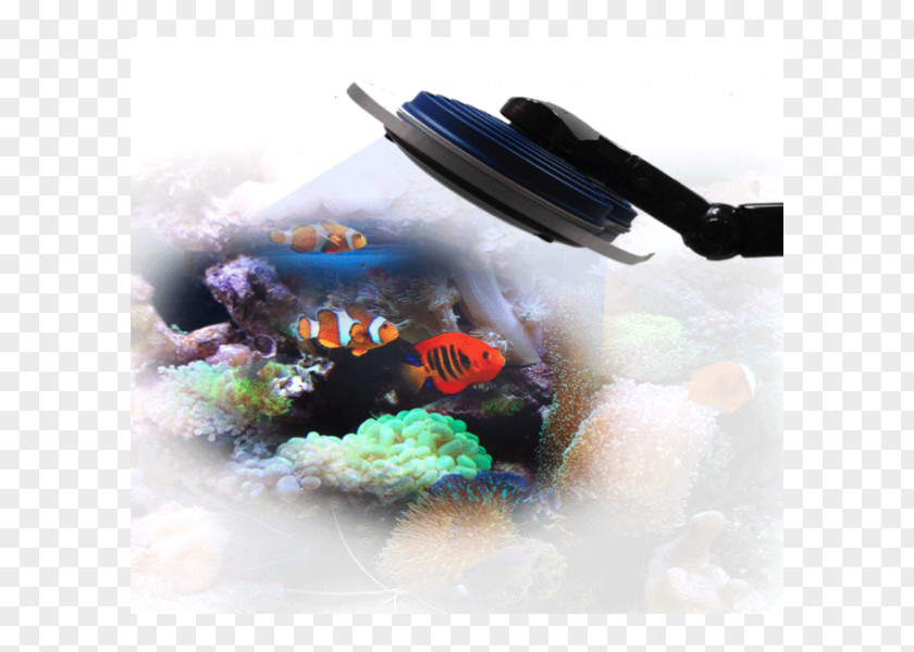 Water Aquarium Lighting Seawater Reef PNG