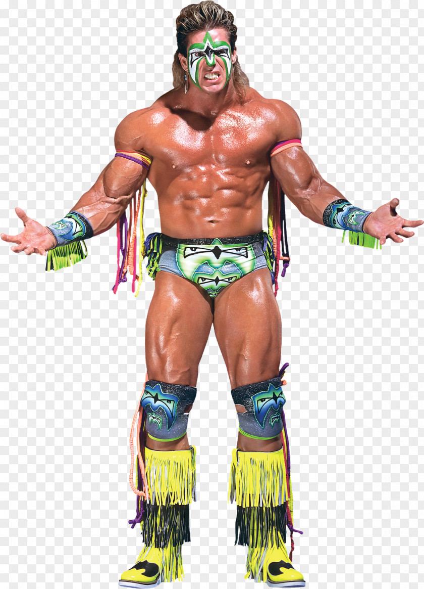 WWE 2K14 Professional Wrestler Championship Wrestling PNG wrestling, hulk hogan clipart PNG