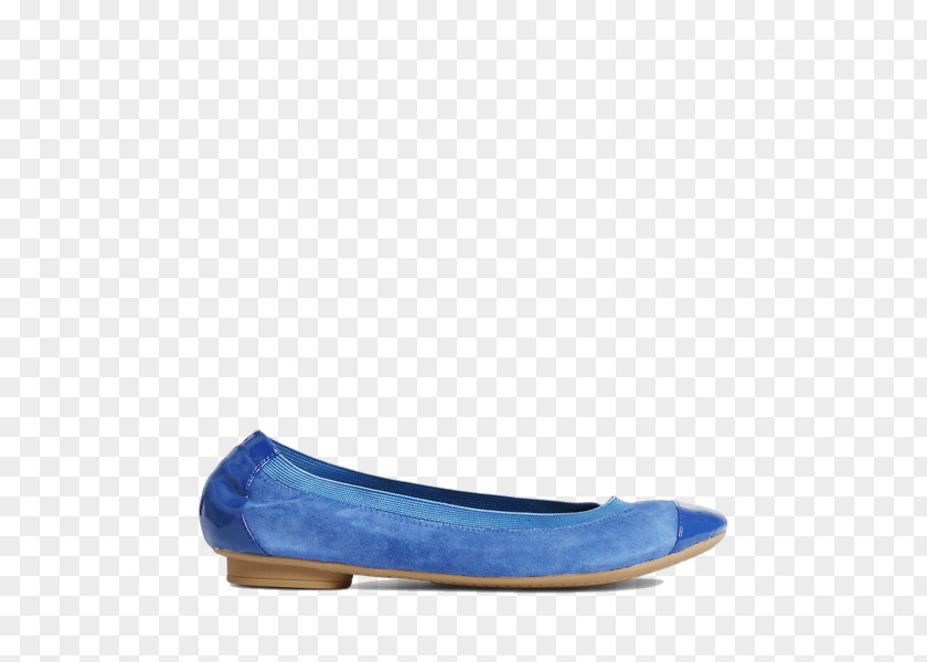 Ballet Flat Suede Shoe PNG