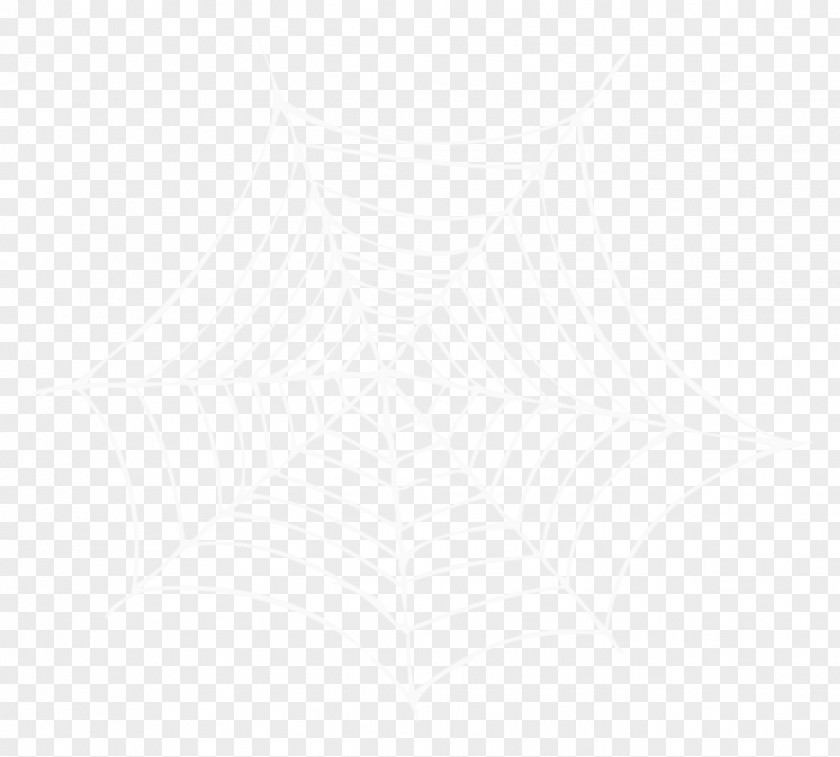 Cartoon Spider Web Picture Material White Black Pattern PNG