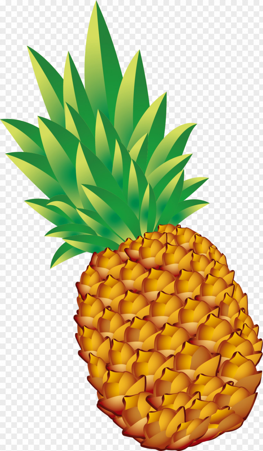 Hand Painted Yellow Pineapple Vegetarianism Fruit PNG
