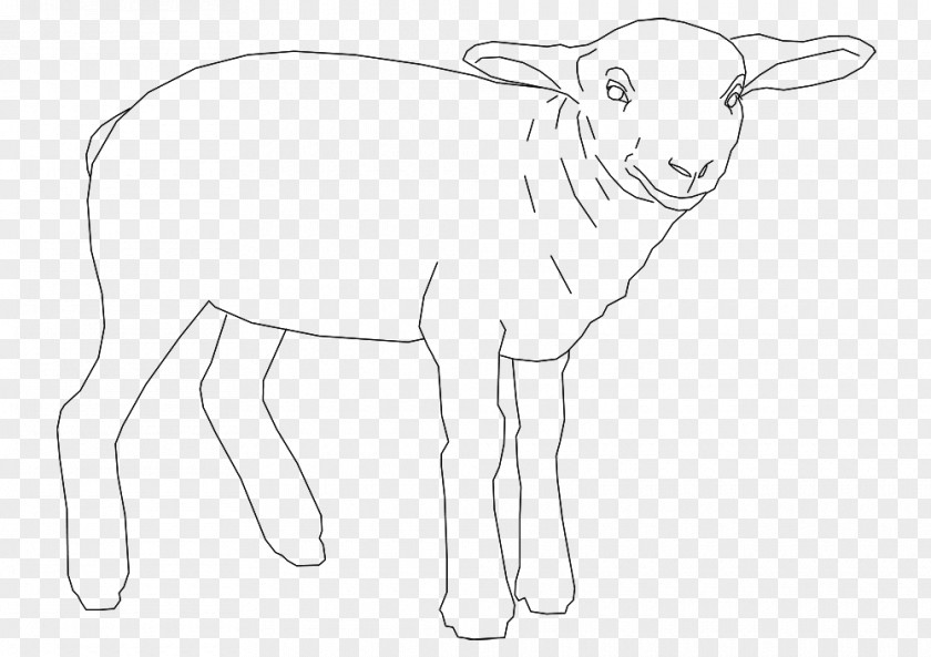Sheep Goat /m/02csf Cattle Line Art PNG