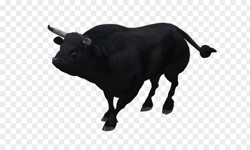 Toros Bull Cattle Ox Animal PhotoScape PNG