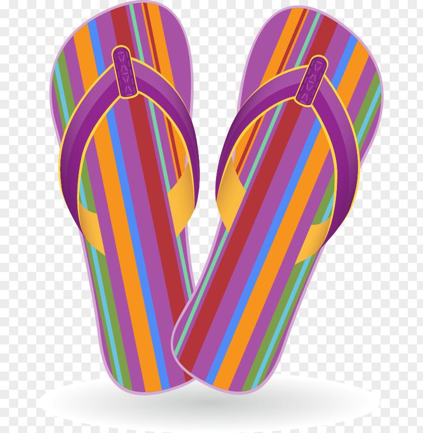 Travel Slippers Stock Photography Flip-flops Royalty-free Illustration PNG