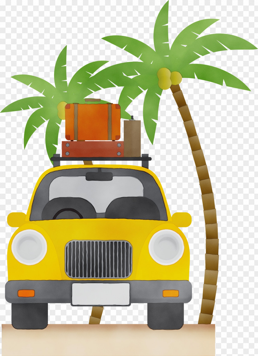 Arecales Compact Car Palm Tree Background PNG