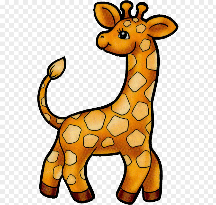 Bellypaint Baby Giraffes Clip Art Northern Giraffe PNG