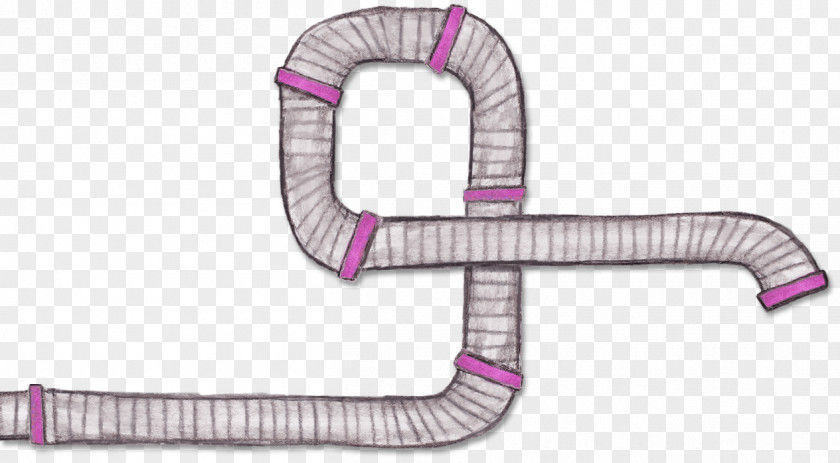 Body Structure Pink M Line Angle PNG