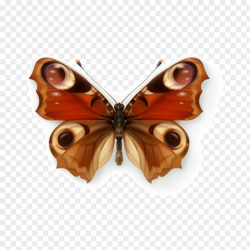Butterfly Royalty-free Illustration PNG