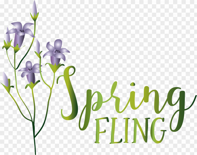 Floral Design PNG