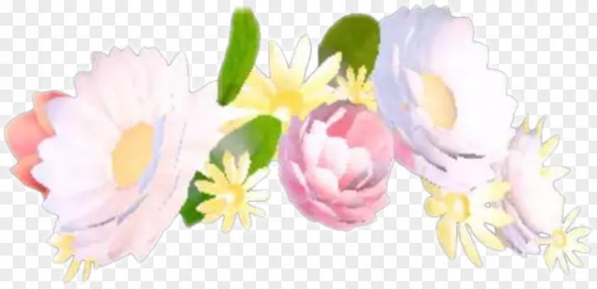Flower Snapchat Crown PNG
